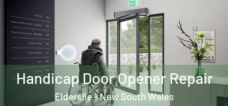 Handicap Door Opener Repair Elderslie - New South Wales