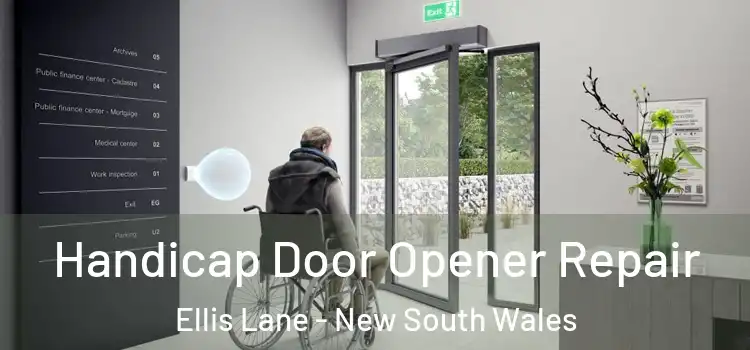 Handicap Door Opener Repair Ellis Lane - New South Wales
