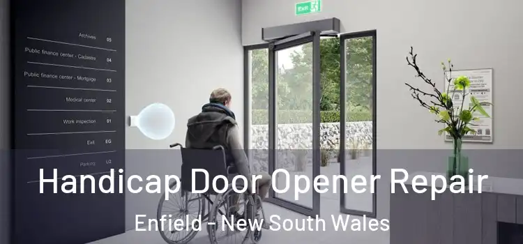Handicap Door Opener Repair Enfield - New South Wales