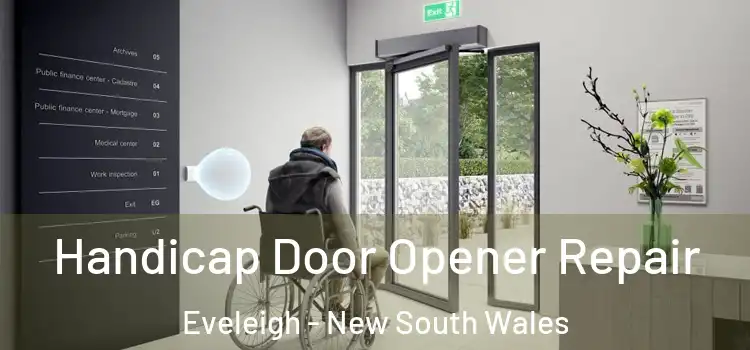 Handicap Door Opener Repair Eveleigh - New South Wales