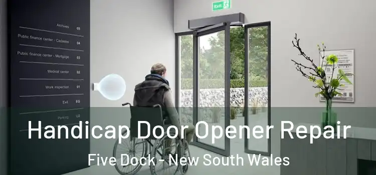 Handicap Door Opener Repair Five Dock - New South Wales
