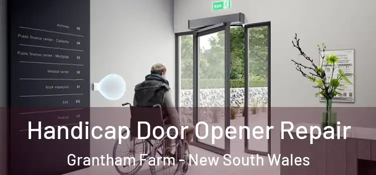 Handicap Door Opener Repair Grantham Farm - New South Wales