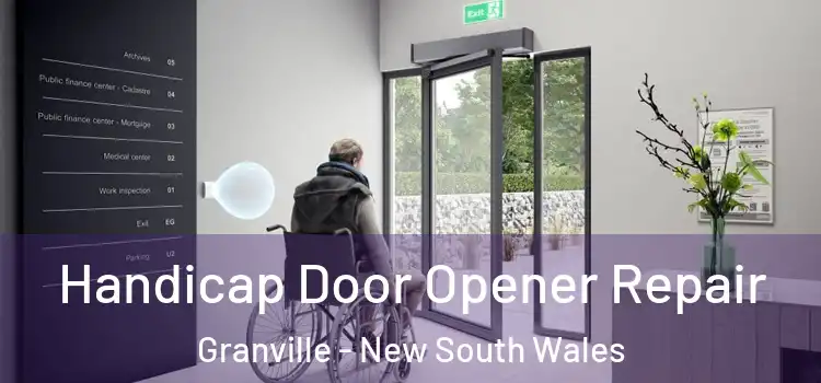Handicap Door Opener Repair Granville - New South Wales