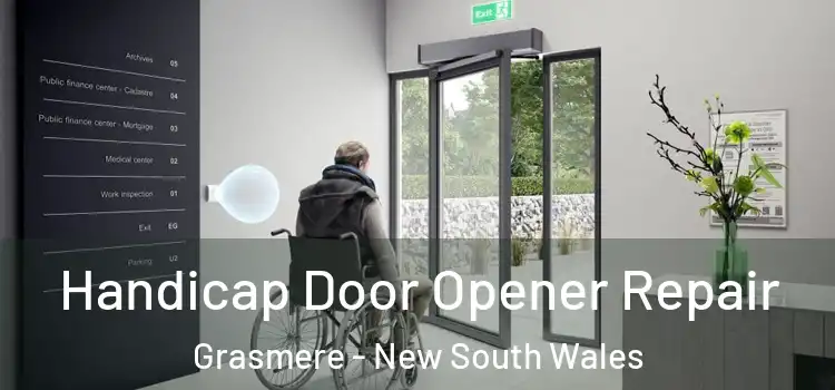 Handicap Door Opener Repair Grasmere - New South Wales