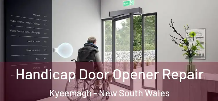 Handicap Door Opener Repair Kyeemagh - New South Wales