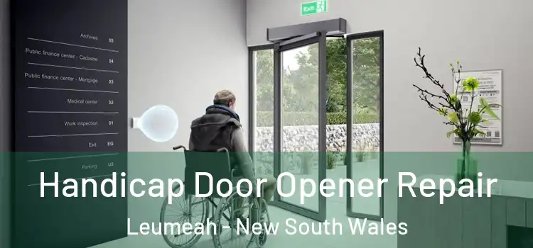 Handicap Door Opener Repair Leumeah - New South Wales