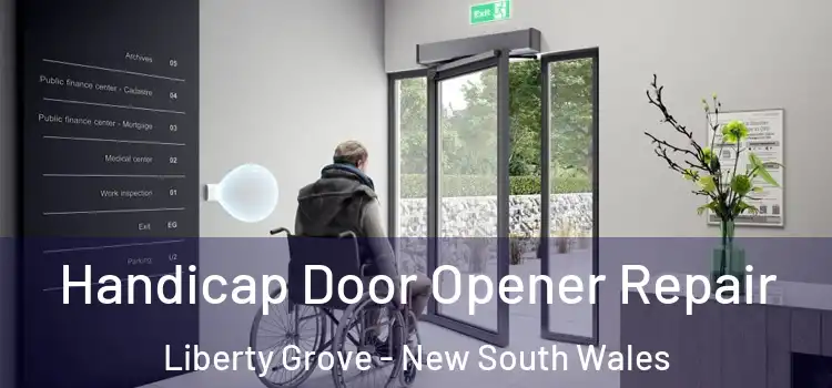 Handicap Door Opener Repair Liberty Grove - New South Wales