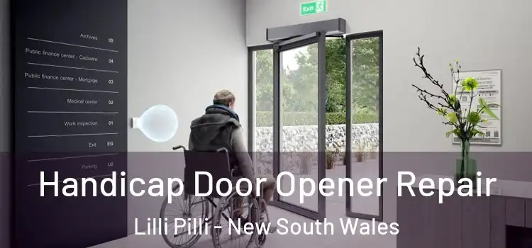 Handicap Door Opener Repair Lilli Pilli - New South Wales