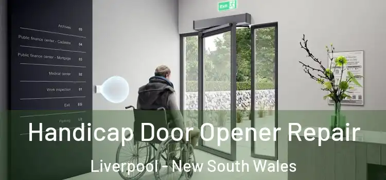 Handicap Door Opener Repair Liverpool - New South Wales