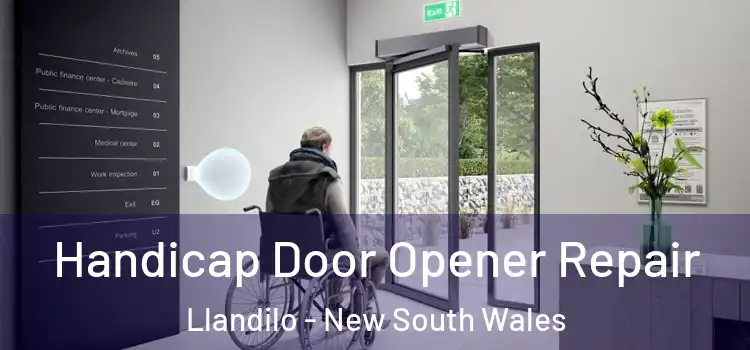 Handicap Door Opener Repair Llandilo - New South Wales