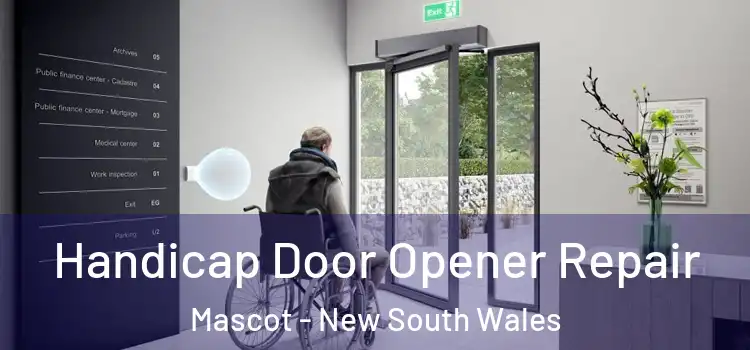Handicap Door Opener Repair Mascot - New South Wales
