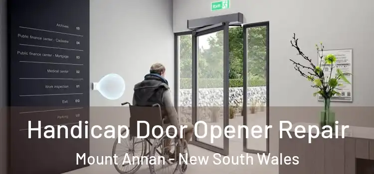 Handicap Door Opener Repair Mount Annan - New South Wales