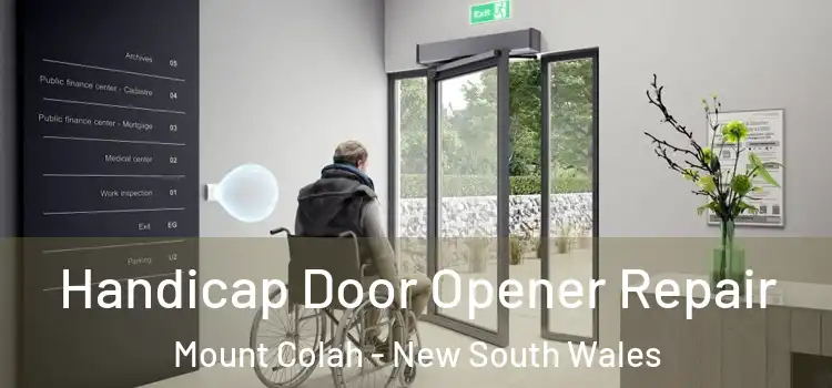 Handicap Door Opener Repair Mount Colah - New South Wales