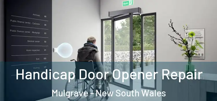 Handicap Door Opener Repair Mulgrave - New South Wales