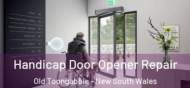 Handicap Door Opener Repair Old Toongabbie - New South Wales