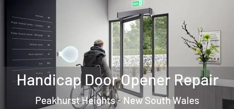 Handicap Door Opener Repair Peakhurst Heights - New South Wales