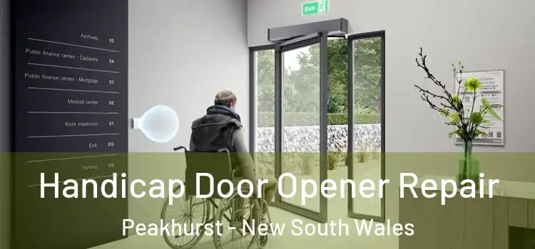 Handicap Door Opener Repair Peakhurst - New South Wales