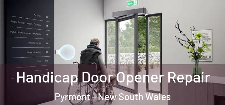 Handicap Door Opener Repair Pyrmont - New South Wales