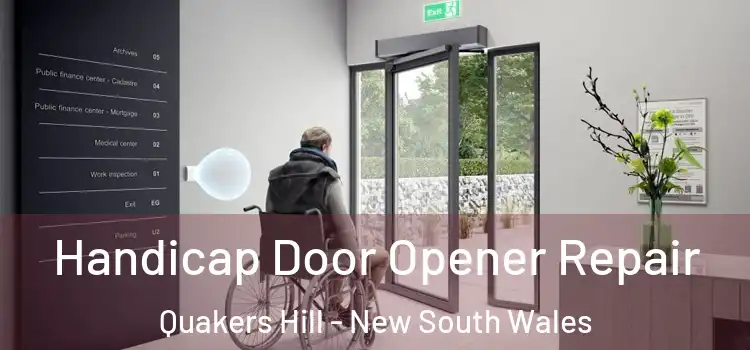 Handicap Door Opener Repair Quakers Hill - New South Wales