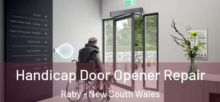 Handicap Door Opener Repair Raby - New South Wales