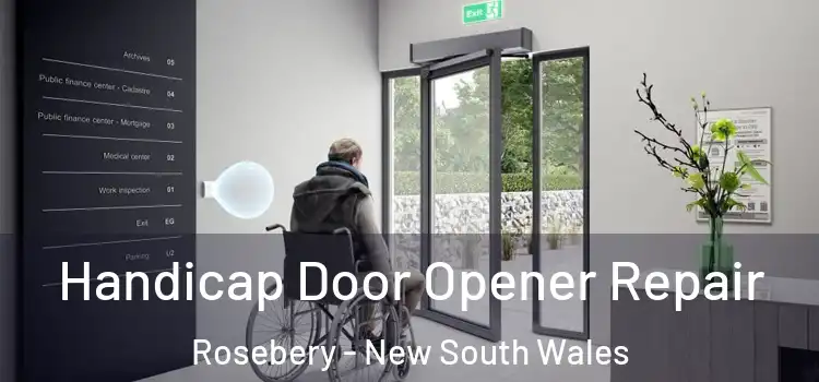 Handicap Door Opener Repair Rosebery - New South Wales