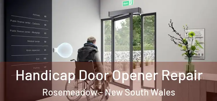 Handicap Door Opener Repair Rosemeadow - New South Wales