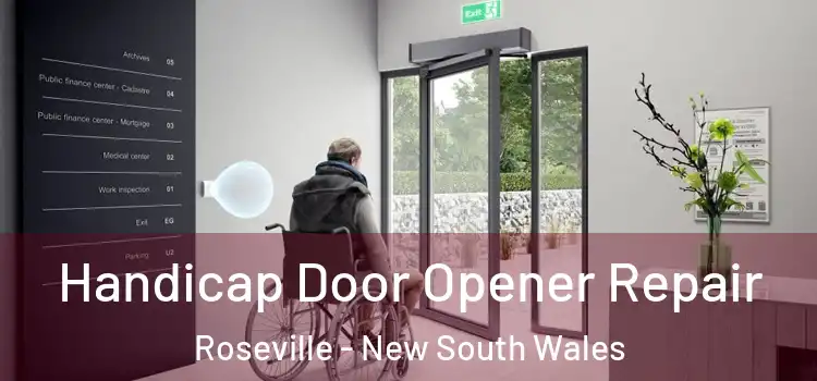 Handicap Door Opener Repair Roseville - New South Wales