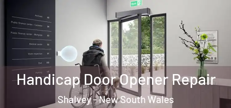 Handicap Door Opener Repair Shalvey - New South Wales