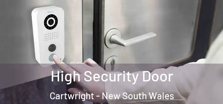 High Security Door Cartwright - New South Wales