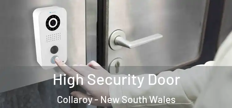 High Security Door Collaroy - New South Wales