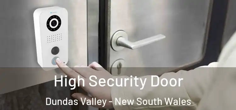 High Security Door Dundas Valley - New South Wales