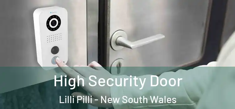 High Security Door Lilli Pilli - New South Wales