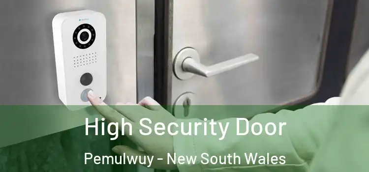 High Security Door Pemulwuy - New South Wales