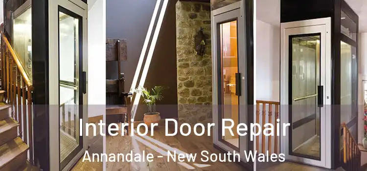 Interior Door Repair Annandale - New South Wales