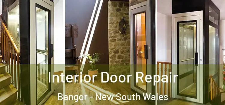 Interior Door Repair Bangor - New South Wales