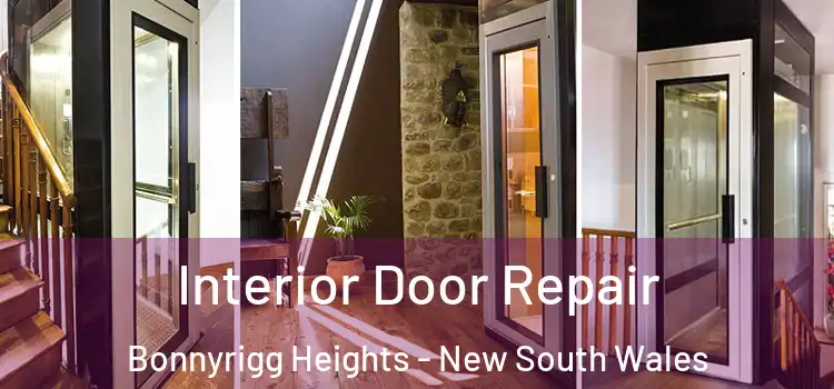 Interior Door Repair Bonnyrigg Heights - New South Wales