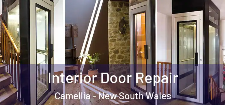 Interior Door Repair Camellia - New South Wales