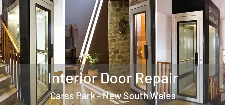Interior Door Repair Carss Park - New South Wales