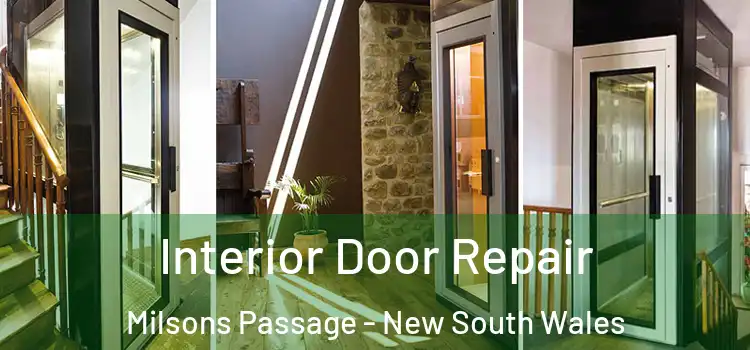 Interior Door Repair Milsons Passage - New South Wales