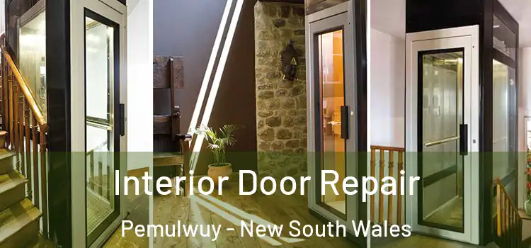 Interior Door Repair Pemulwuy - New South Wales