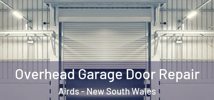 Overhead Garage Door Repair Airds - New South Wales
