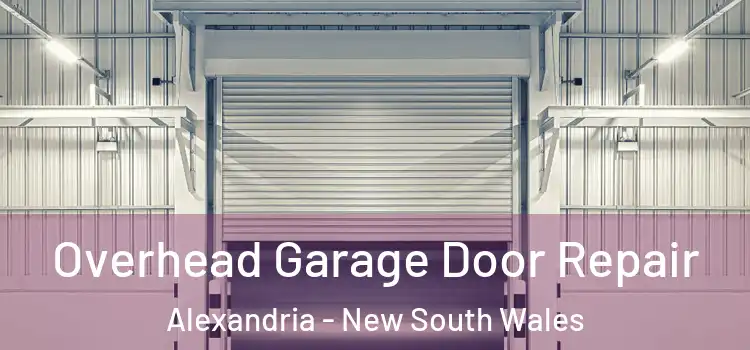 Overhead Garage Door Repair Alexandria - New South Wales