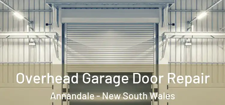 Overhead Garage Door Repair Annandale - New South Wales