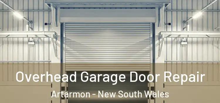 Overhead Garage Door Repair Artarmon - New South Wales
