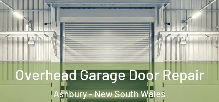 Overhead Garage Door Repair Ashbury - New South Wales