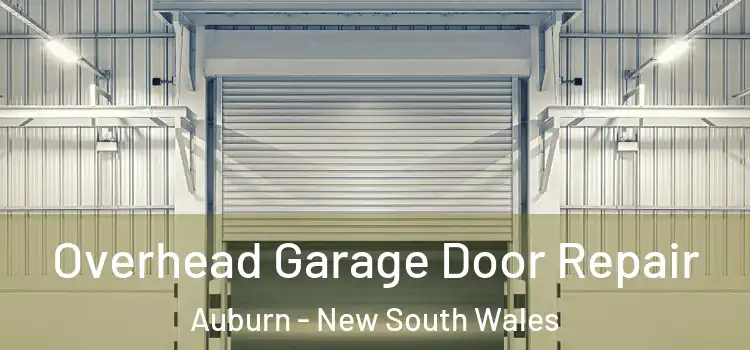 Overhead Garage Door Repair Auburn - New South Wales