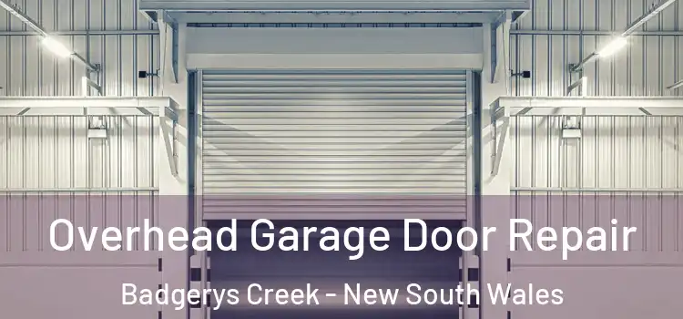 Overhead Garage Door Repair Badgerys Creek - New South Wales