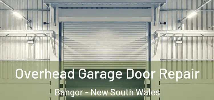 Overhead Garage Door Repair Bangor - New South Wales