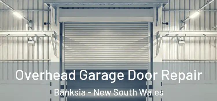 Overhead Garage Door Repair Banksia - New South Wales