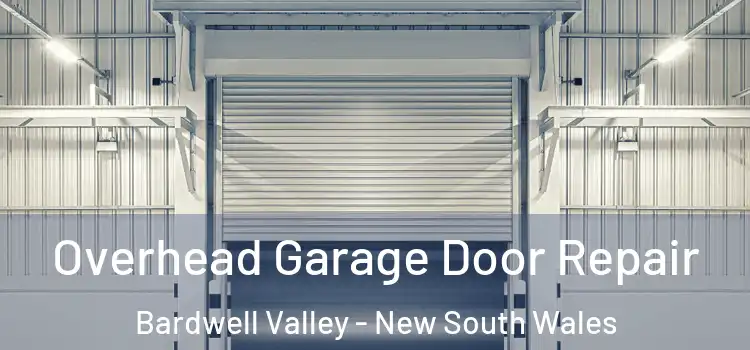 Overhead Garage Door Repair Bardwell Valley - New South Wales